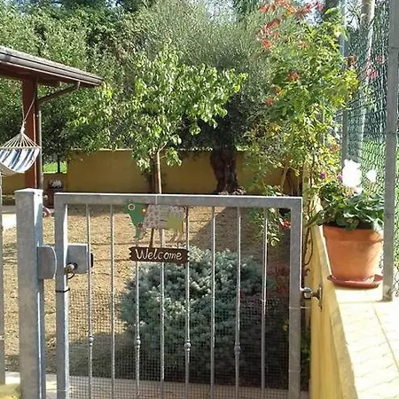 La Contessa Di Granarola *